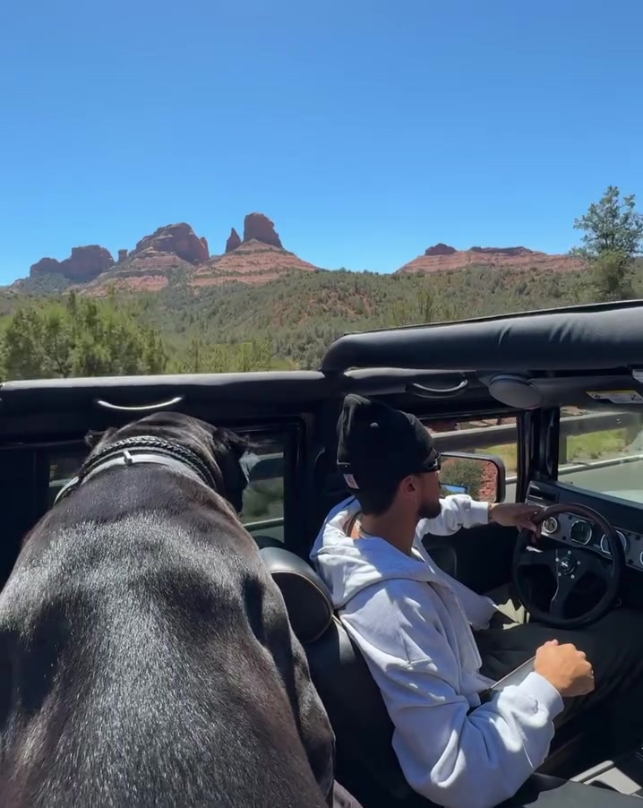 PP电子(中国)-布克驾悍马携爱犬出游 独行时光萌宠相伴